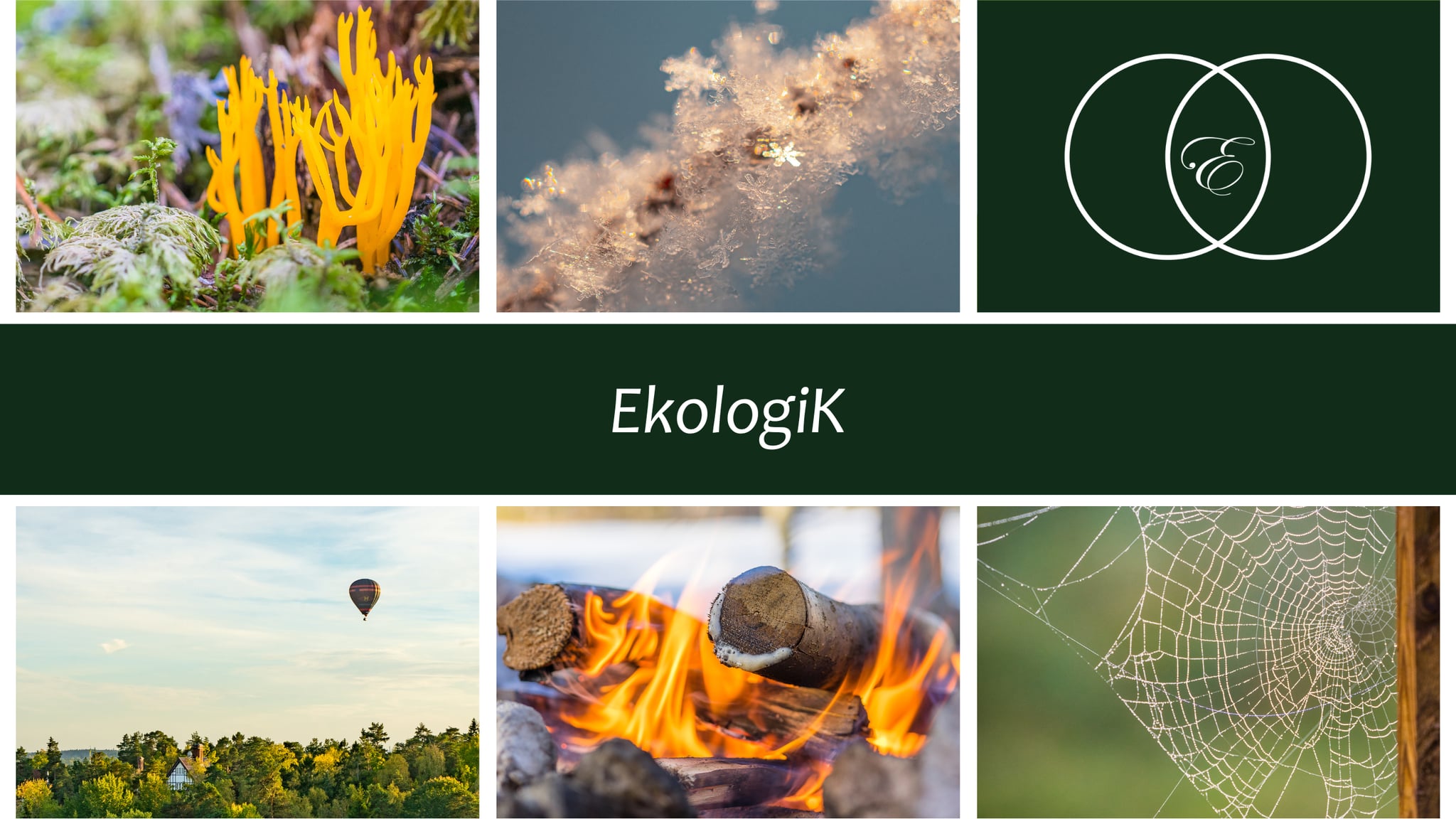 EkologiK — sex element: svamp på mossa, iskristaller, eld, spindelnät, skog med luftballong, föreningens logo